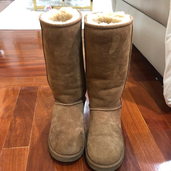 Chestnut tall uggs - Picture 5 of 5